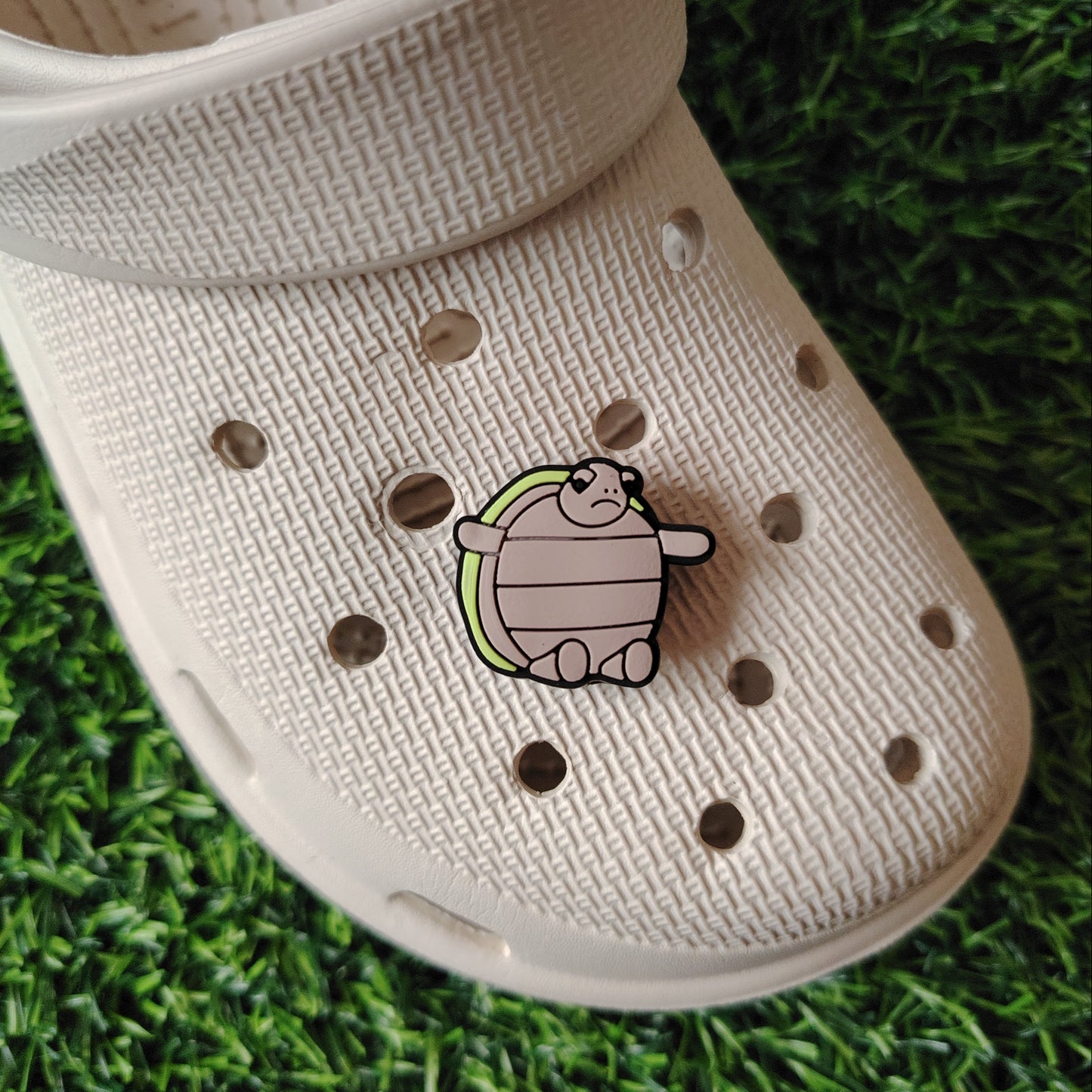 Cute Turtle Croc Charm