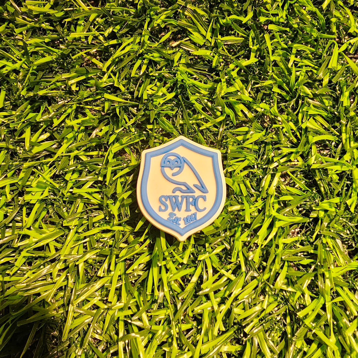 SWFC Owl Logo Croc Charm