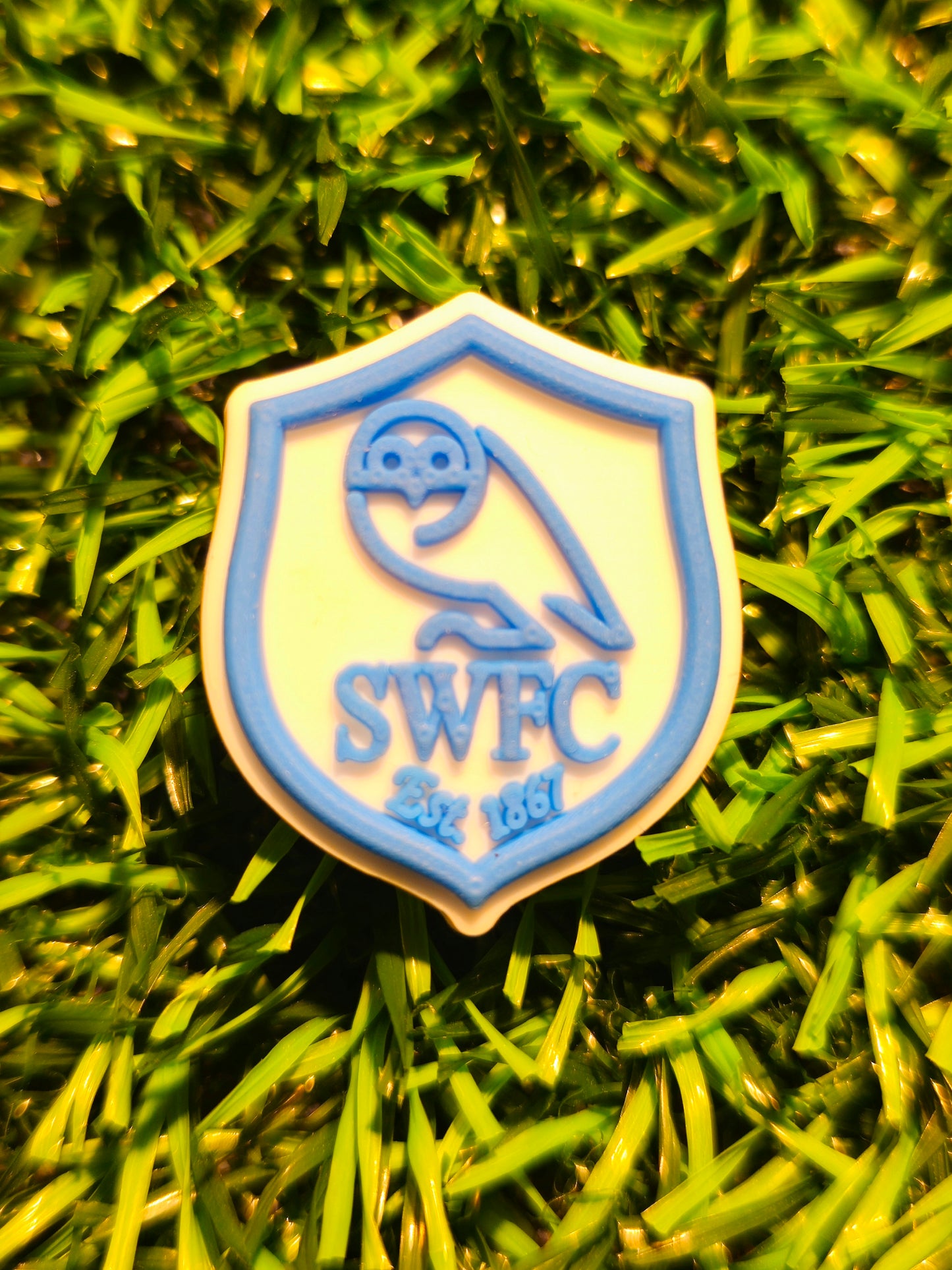 SWFC Owl Logo Croc Charm