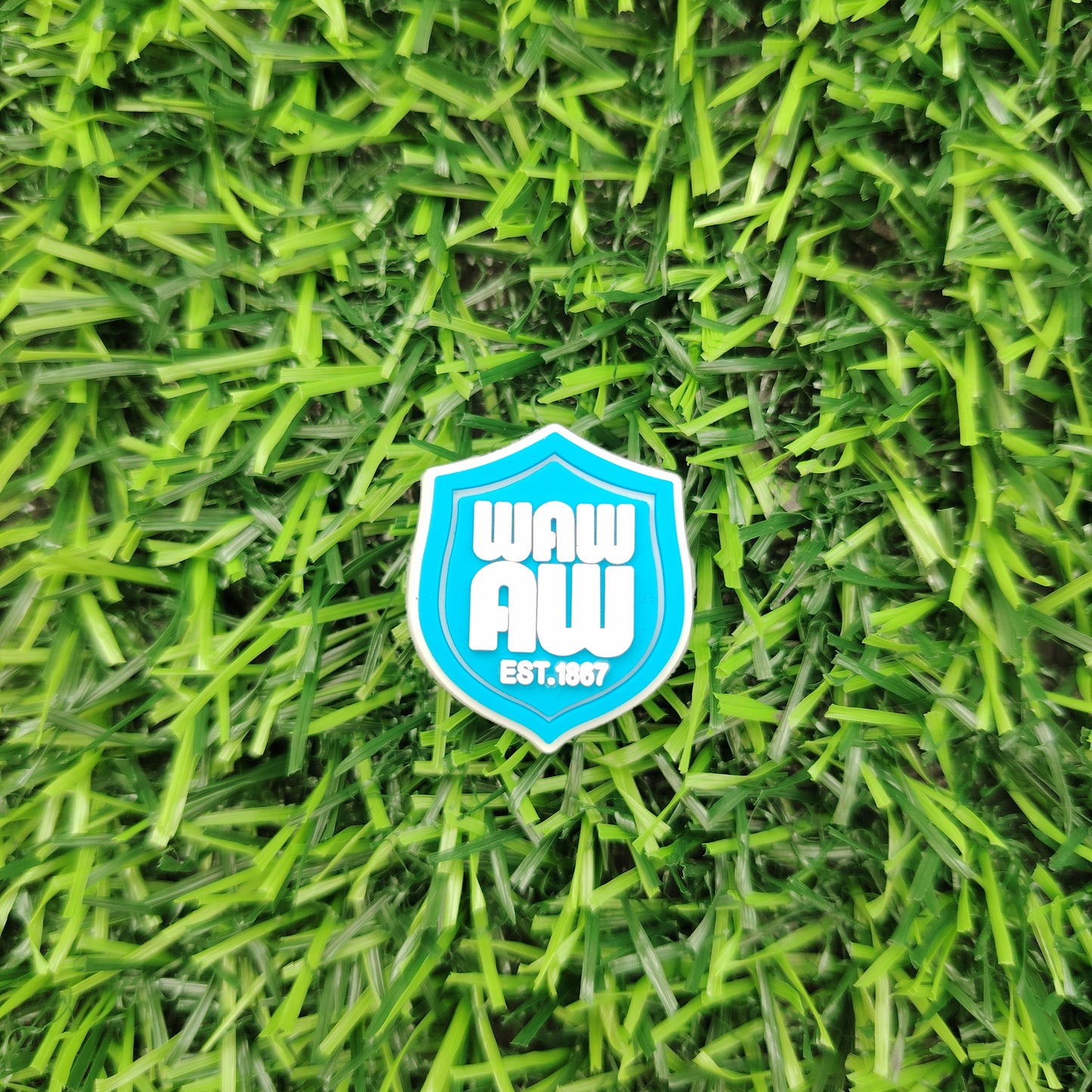 WAWAW Sheffield Wednesday shoe charm