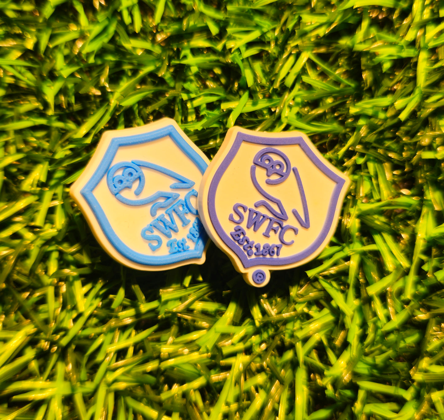 SWFC Owl Logo Croc Charm